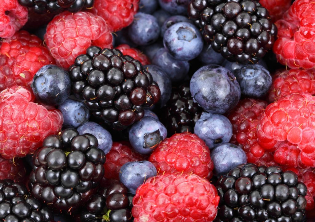 Can Food Help Fight Cognitive Decline? Charlotte Area Doctors Say ‘Yes’