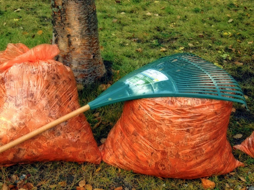 City of Charlotte Stops Yard Waste Pickup for 30 Days