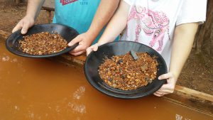 gold-panning-Reed